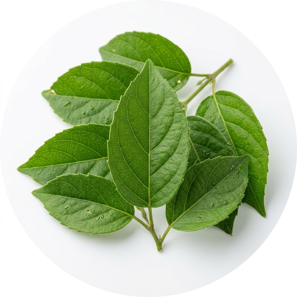 গুড়মার