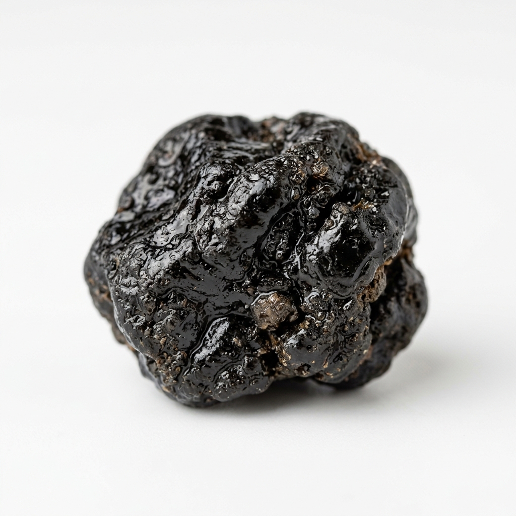 শিলাজুৎ